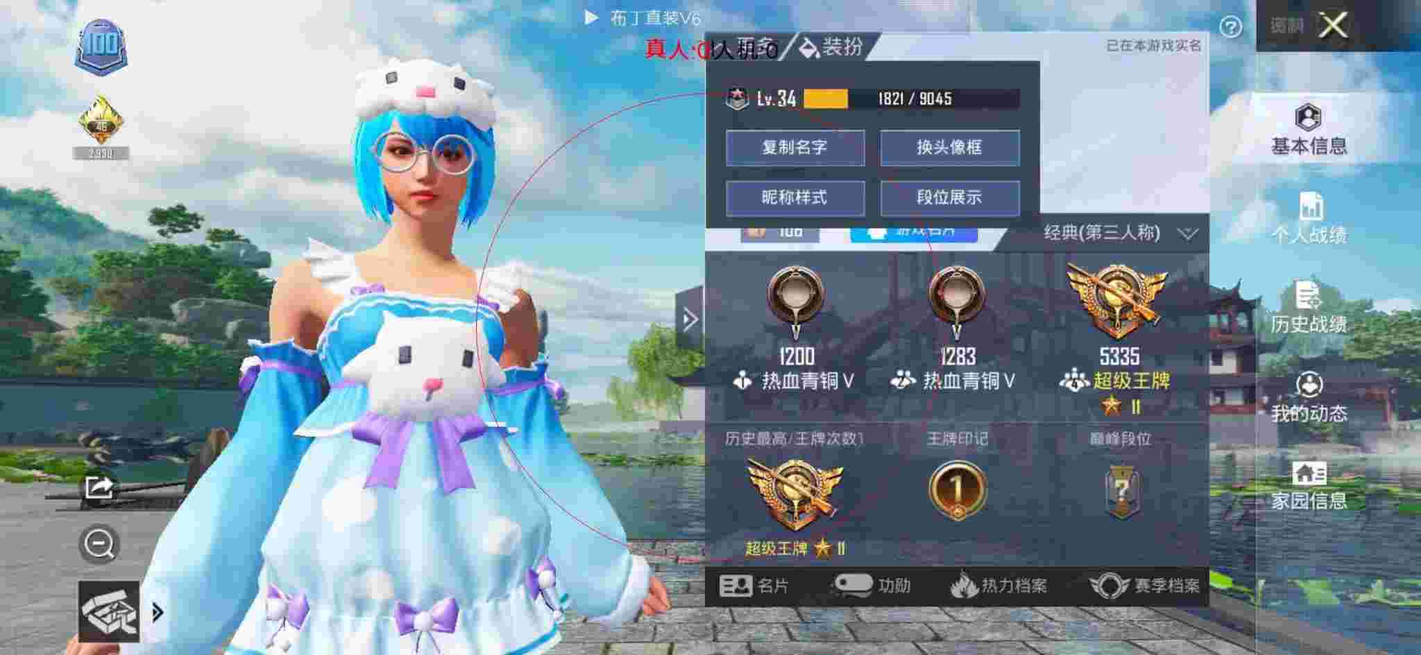 和平精英布丁直装透视 - 和平精英色彩滤镜辅助下辅助预览图